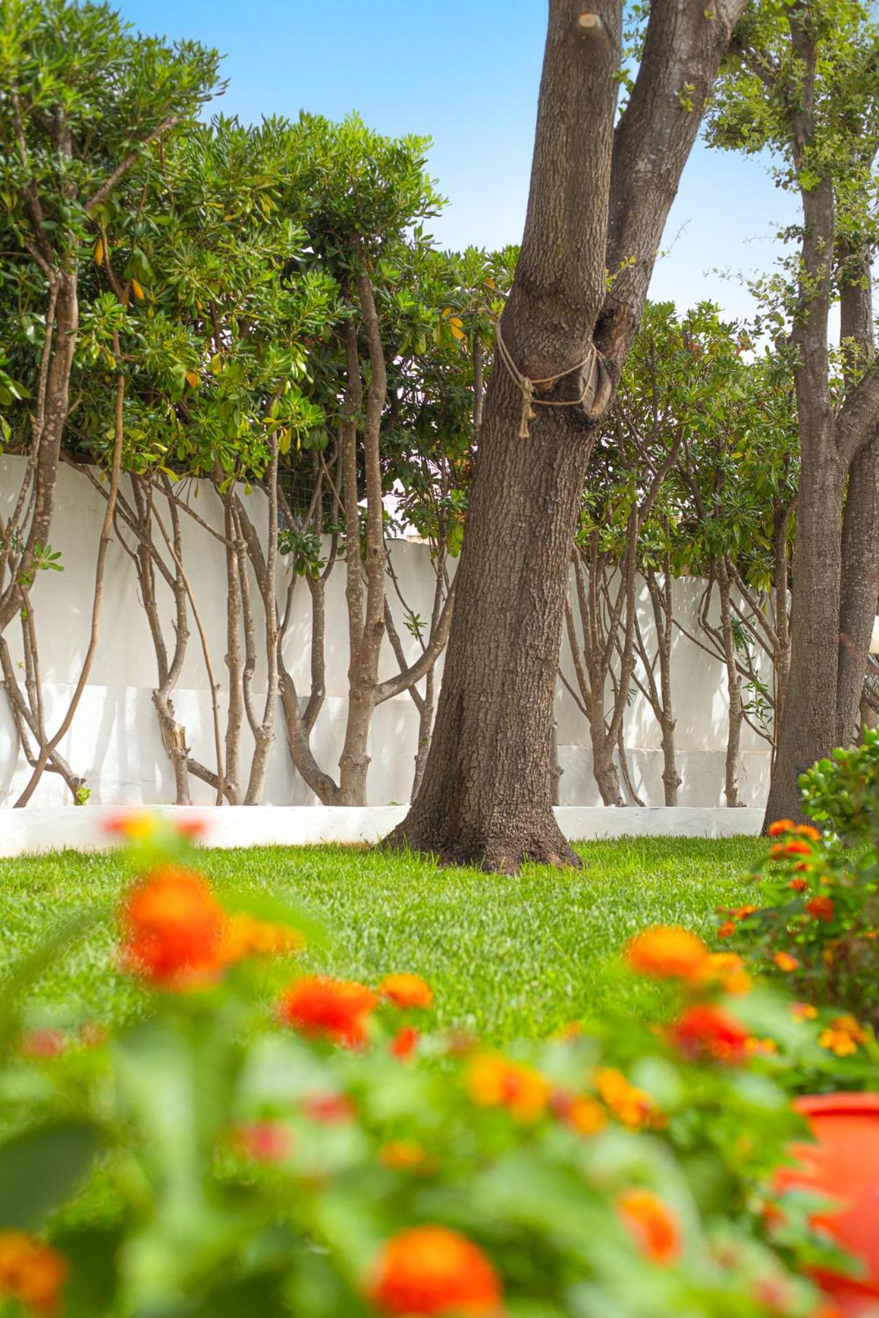 Appartement Casa Masini San Teodoro à Monte Petrosu Extérieur photo